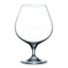 TOMGAST Sklenice na brandy 66 cl