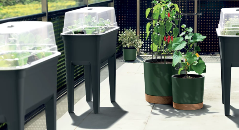Květináč Prosperplast HOME GROWER na pěstování rajčat 14,5 l antracit