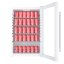 Guzzanti GZ 117A