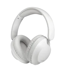 Concept hs4081