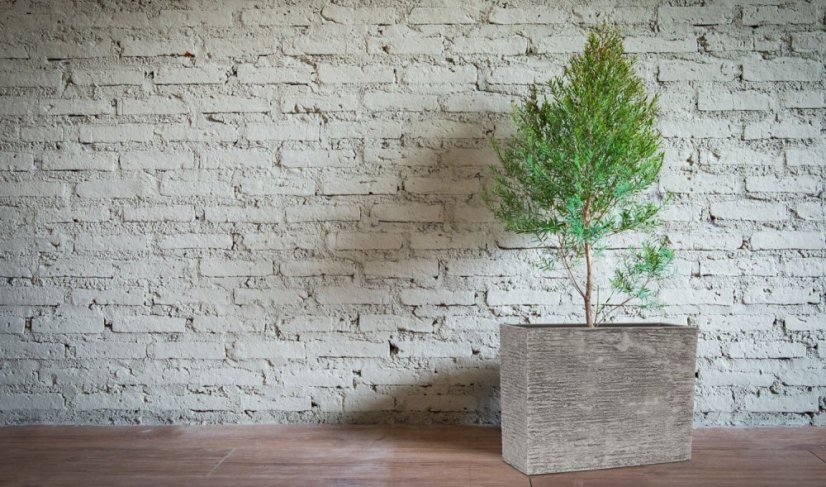 Květináč G21 Natur Box 60 x 45 x 25