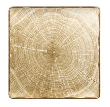 RAK Porcelain RAK Woodart talíř čtvercový 30 × 30 cm – mechově zelená | RAK-WDEDSQ30MG