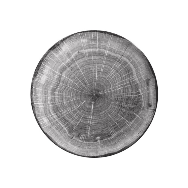 RAK Porcelain RAK Woodart talíř mělký coupe 24 cm – šedá | RAK-WDNNPR24BG RAK Porcelain RAK Woodart talíř mělký coupe 24 cm – šedá | RAK-WDNNPR24BG