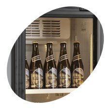 Chladicí skříň TEFCOLD FSC 175H