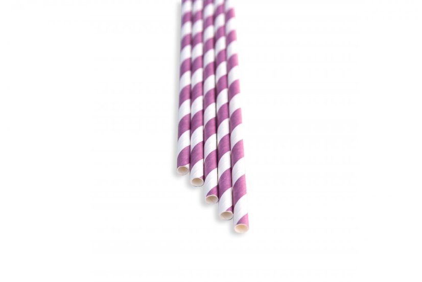 TOMGAST Brčka 21 cm, fialová TOMGAST Brčka 21 cm, fialová