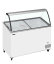 Distributor zmrzliny Tefcold IC402SCE-SO