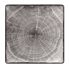 RAK Porcelain RAK Woodart talíř čtvercový 30 × 30 cm – šedá | RAK-WDEDSQ30BG