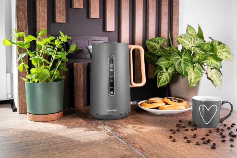 Varná konvice Concept RK3370
