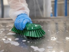 Vikan kartáč ruční 68x230 T/zelený 38942