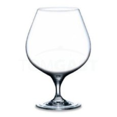 TOMGAST Sklenice na brandy 66 cl