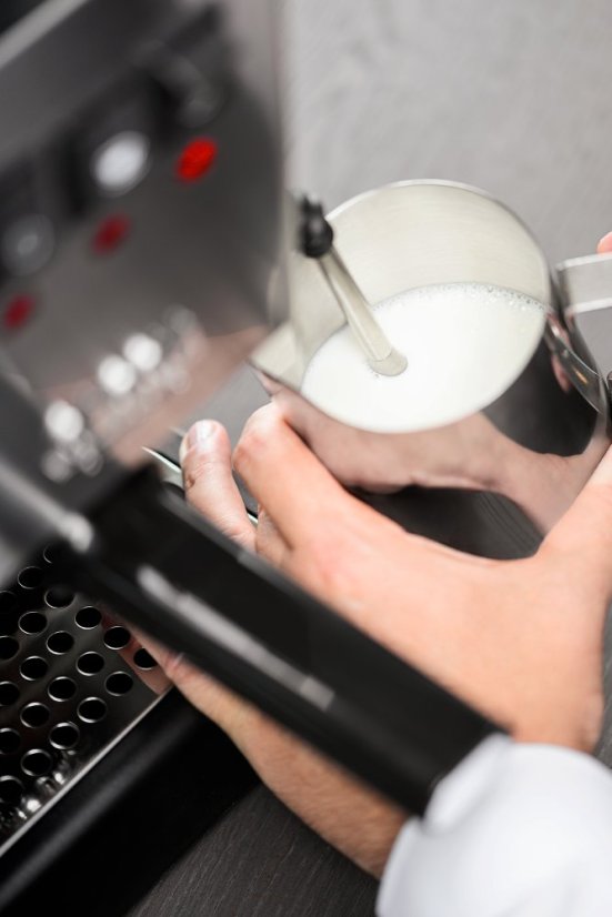 Gaggia Classic E24