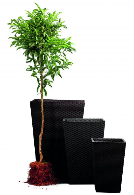 Květináč Keter Rattan Planter S 23,6 l grafitový