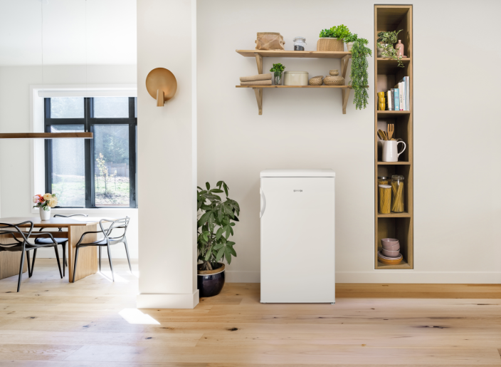 Monoklimatická chladnička Gorenje RB492PW