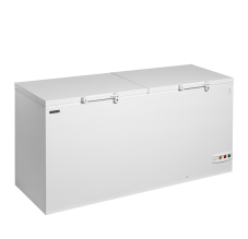 Mrazicí box na zmrzlinu TEFCOLD FR606 SL