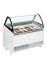 Distributor zmrzliny TEFCOLD BERMUDA VIEW RV10
