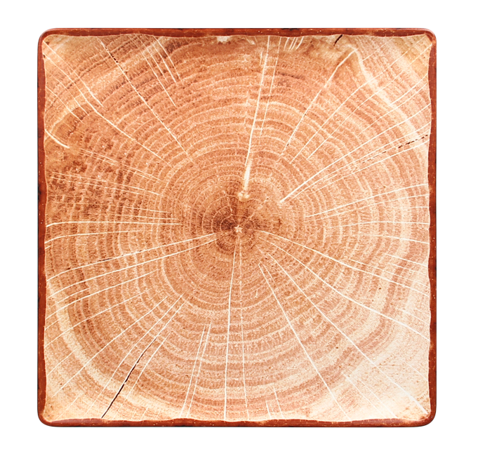 RAK Porcelain RAK Woodart talíř čtvercový 30 × 30 cm – světle hnědá | RAK-WDEDSQ30TB RAK Porcelain RAK Woodart talíř čtvercový 30 × 30 cm – světle hnědá | RAK-WDEDSQ30TB