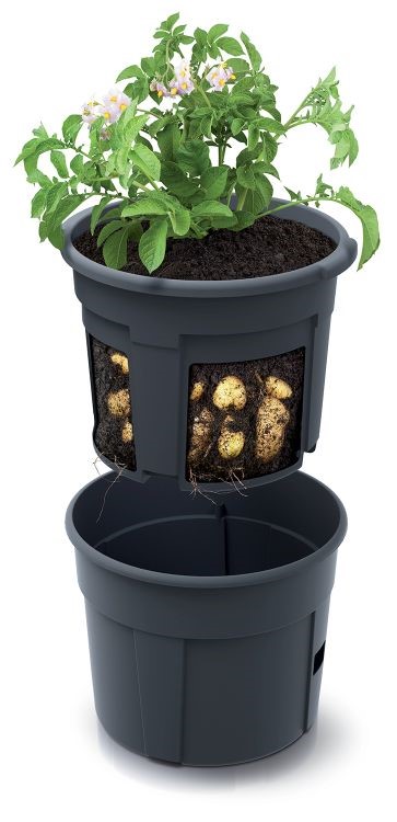 Květináč Prosperplast POTATO GROWER na pěstování brambor 29,5 cm antracit