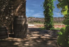 Sud Prosperplast BOTAQUA hnědý 250 l