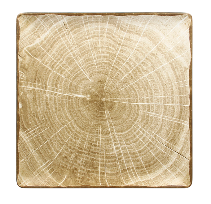 RAK Porcelain RAK Woodart talíř čtvercový 30 × 30 cm – mechově zelená | RAK-WDEDSQ30MG RAK Porcelain RAK Woodart talíř čtvercový 30 × 30 cm – mechově zelená | RAK-WDEDSQ30MG