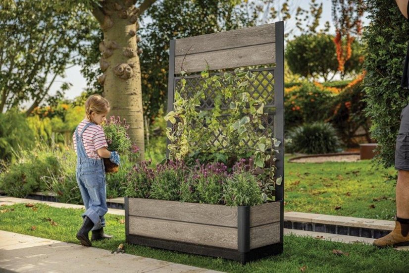 Květináč Keter Deco Tulip Ashwood