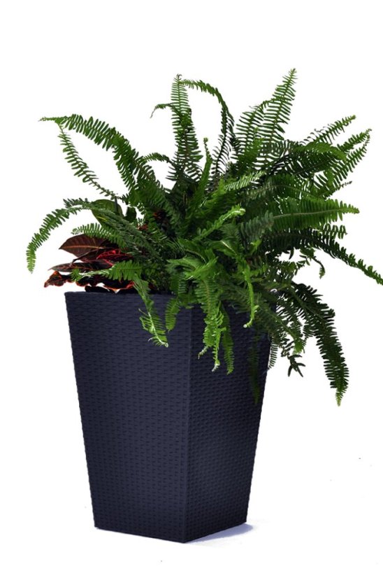 Květináč Keter Rattan Planter S 23,6 l grafitový