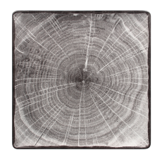 RAK Porcelain RAK Woodart talíř čtvercový 30 × 30 cm – šedá | RAK-WDEDSQ30BG