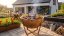 Gril G21 Ohio Corten