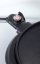 Guzzanti GZ 345